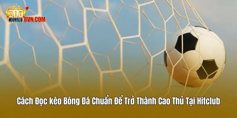 Cách Đọc Kèo Bóng Đá Chuẩn Để Trở Thành Cao Thủ Tại Hitclub 5 Cách Đọc Kèo Bóng Đá Chuẩn Để Trở Thành Cao Thủ Tại Hitclub