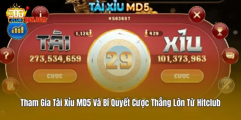 Tham gia tài xỉu MD5 tại Hitclub